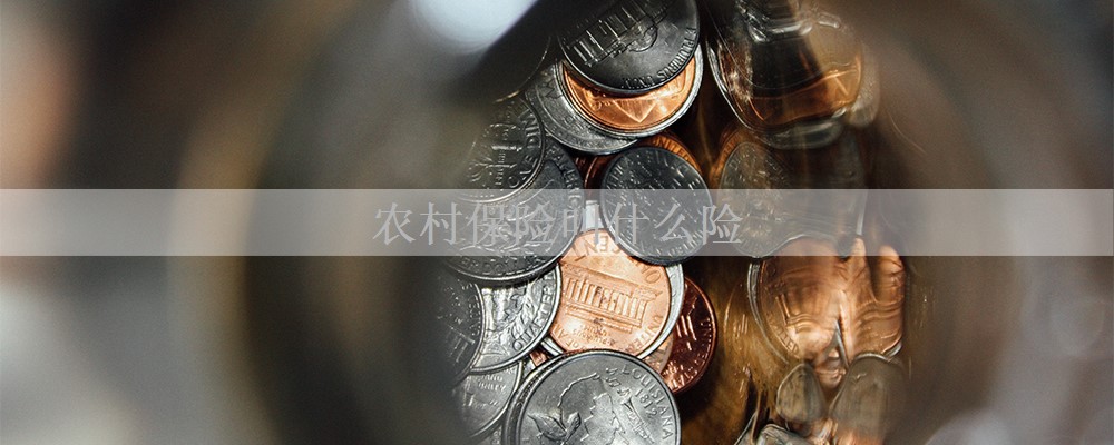 农村保险叫什么险