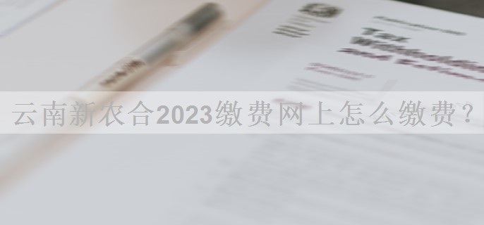 云南新农合2023缴费网上怎么缴费？