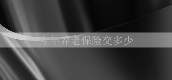 今年养老保险交多少