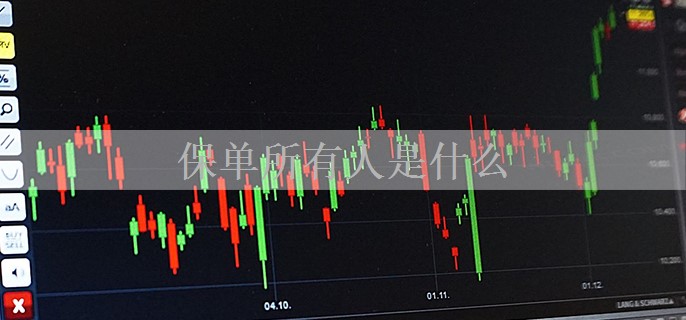 保单所有人是什么