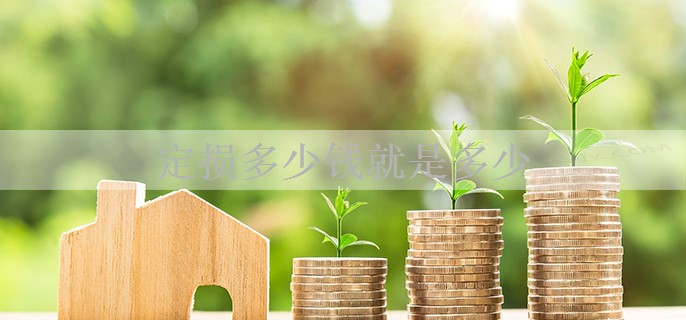 定损多少钱就是多少