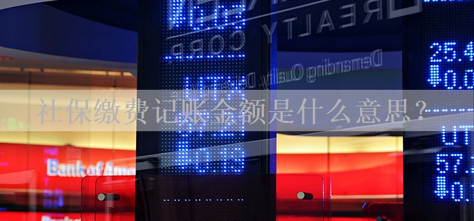 社保缴费记账金额是什么意思？