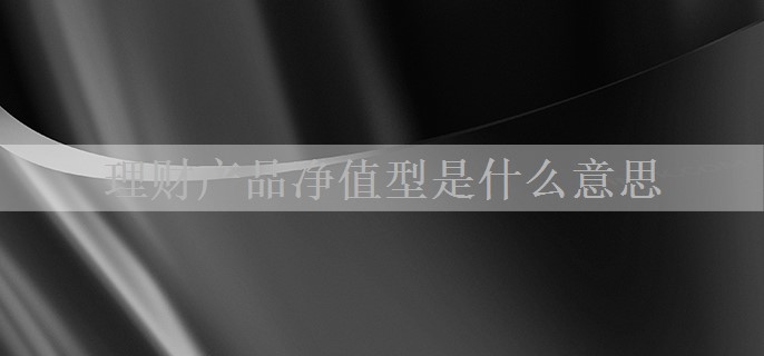 理财产品净值型是什么意思