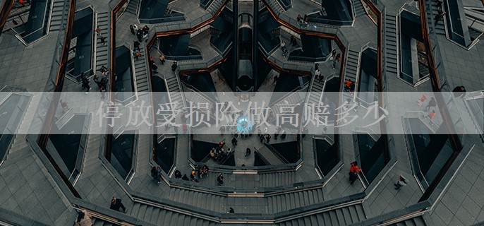 停放受损险做高赔多少