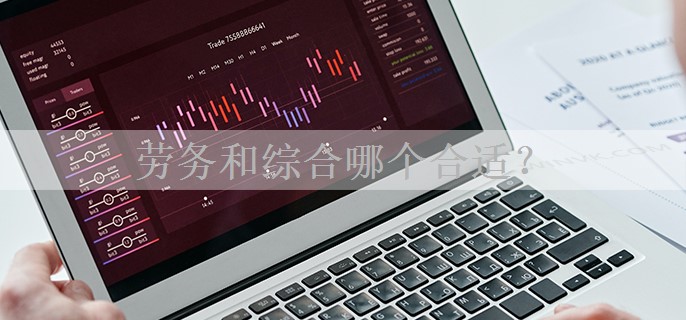 劳务和综合哪个合适？