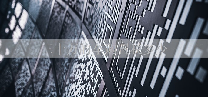 三十万的车购置税多少