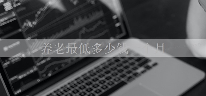 养老最低多少钱一个月