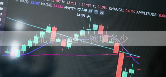 北京失业金领取多少