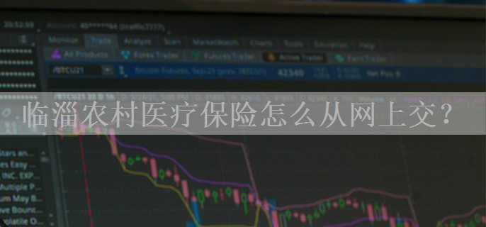临淄农村医疗保险怎么从网上交？