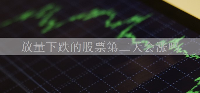 放量下跌的股票第二天会涨吗