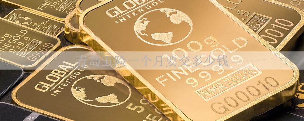 青岛五险一个月要交多少钱