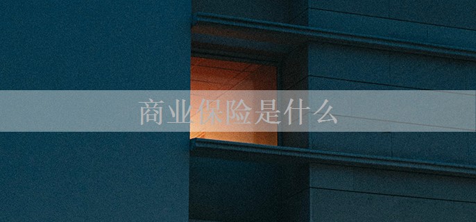 商业保险是什么