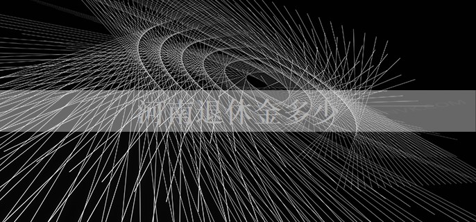 河南退休金多少