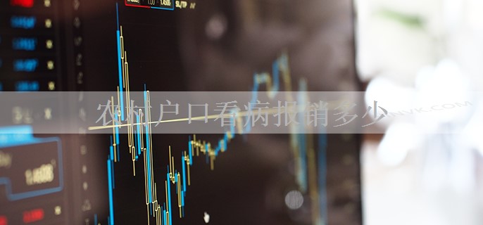 农村户口看病报销多少