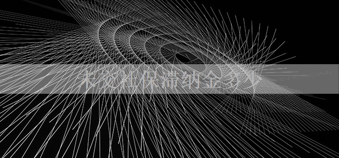 未交社保滞纳金多少