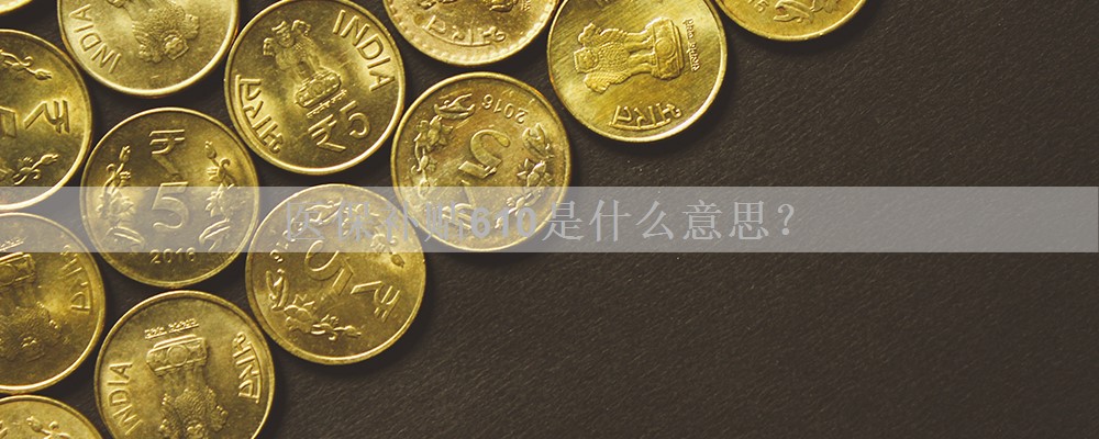 医保补贴610是什么意思?