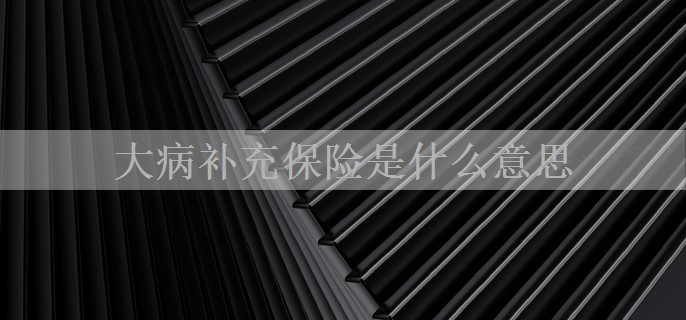 大病补充保险是什么意思