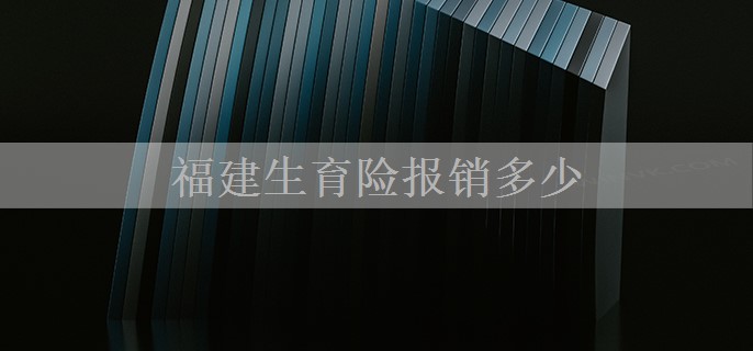 福建生育险报销多少