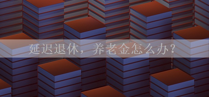 延迟退休，养老金怎么办？