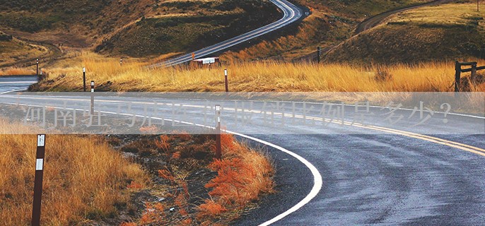 河南驻马店医保报销比例是多少？