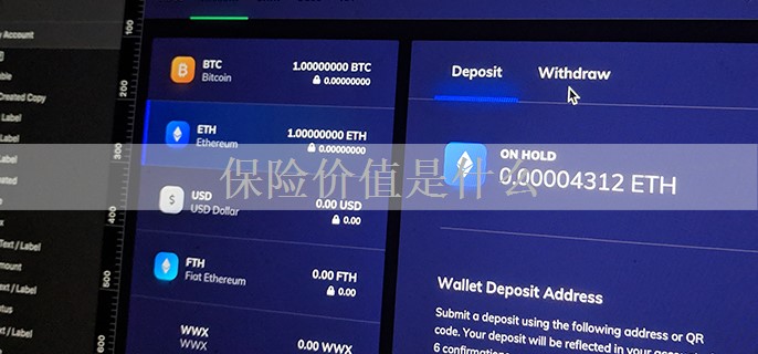 保险价值是什么