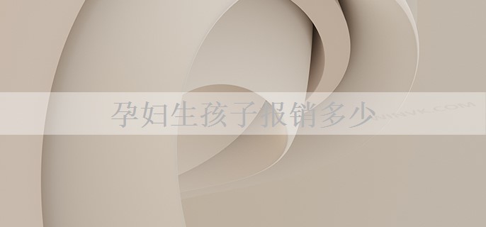 孕妇生孩子报销多少