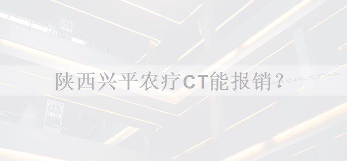陕西兴平农疗CT能报销？