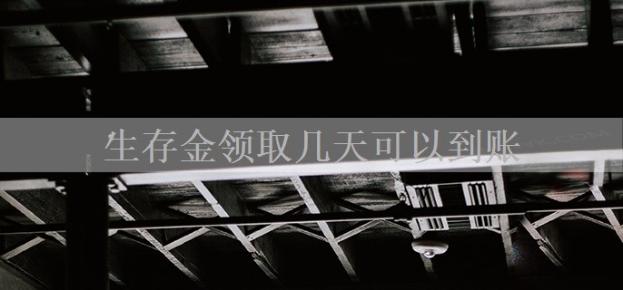 生存金领取几天可以到账