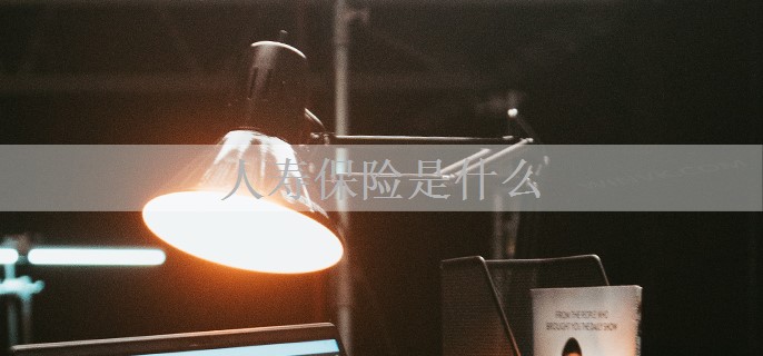 人寿保险是什么