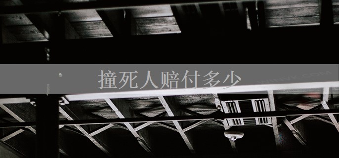 撞死人赔付多少