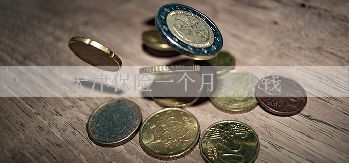 天津保险一个月多少钱