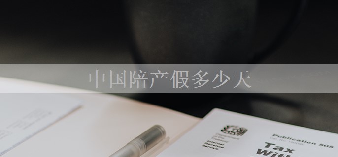 中国陪产假多少天