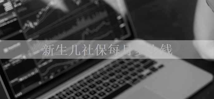新生儿社保每月多少钱