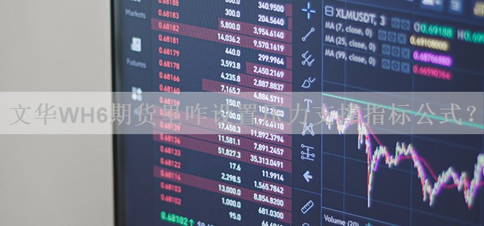 文华WH6期货里咋设置压力支撑指标公式？