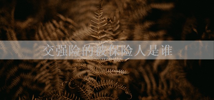 交强险的被保险人是谁