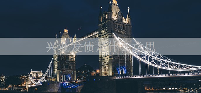 兴业发债是什么意思