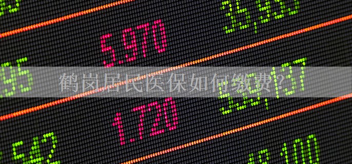 鹤岗居民医保如何缴费？