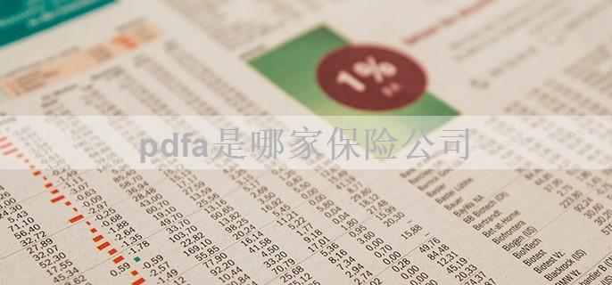 pdfa是哪家保险公司