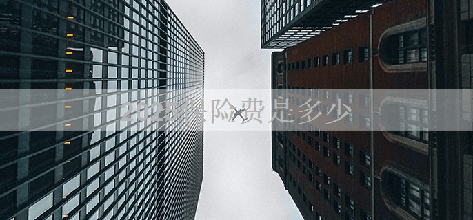 2025保险费是多少