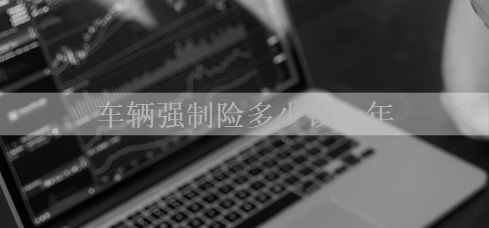 车辆强制险多少钱一年