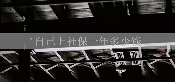 自己上社保一年多少钱