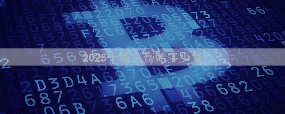 2025十级工伤赔多少钱