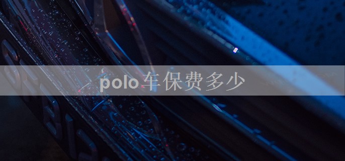 polo车保费多少
