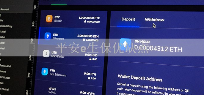 平安e生保优缺点