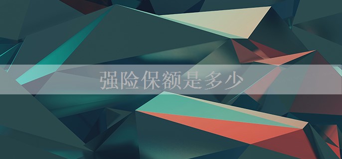 强险保额是多少