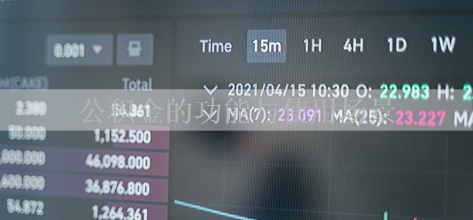 公积金的功能与使用场景