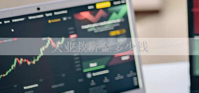 失业救济金多少钱