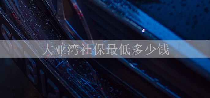 大亚湾社保最低多少钱
