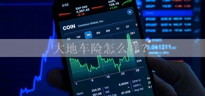 大地车险怎么样？