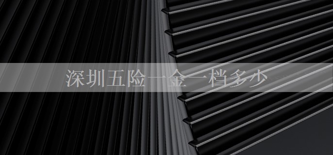 深圳五险一金一档多少